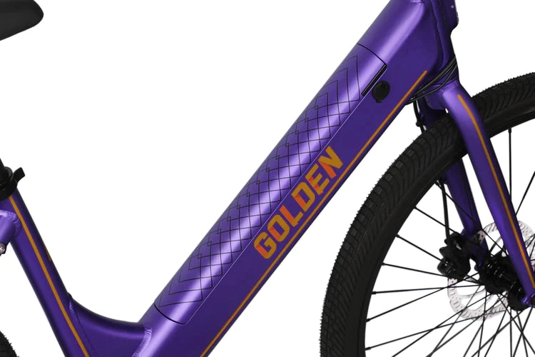 ACCELERA PURPLE PASSION E-BIKE
