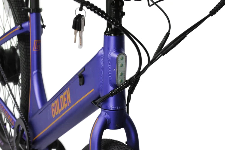 ACCELERA PURPLE PASSION E-BIKE