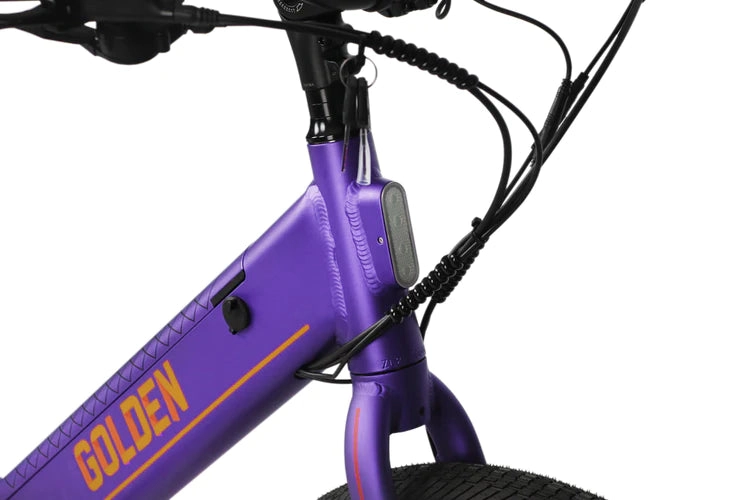 ACCELERA PURPLE PASSION E-BIKE