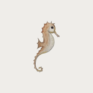 Atlas & August Seahorse Reusable Wall Sticker