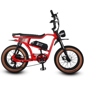 Golden Panthro E-Bike