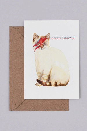 Mister Peebles David Meowie Card