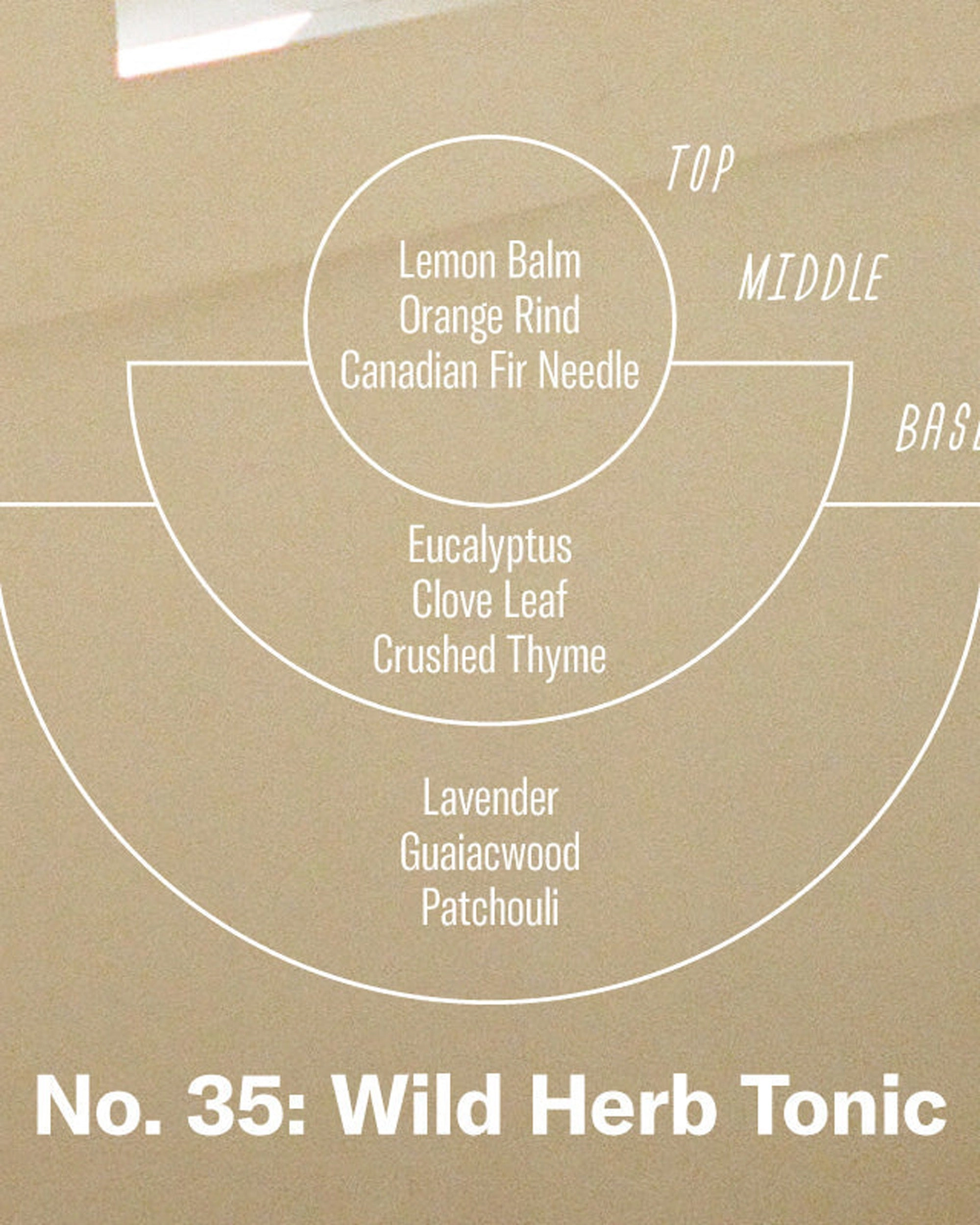 P.F. Candle Co. Incense Sticks - Wild Herb Tonic