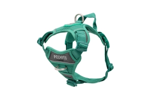 RC Pets Momentum Control Harness for Dogs in Parakeet
