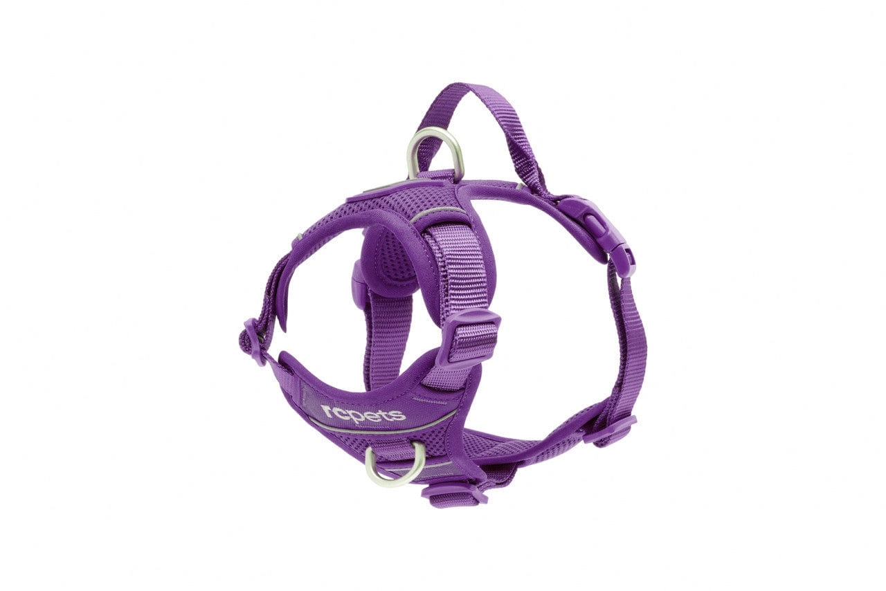 RC Pets Momentum Control Harness for Dogs in Purple