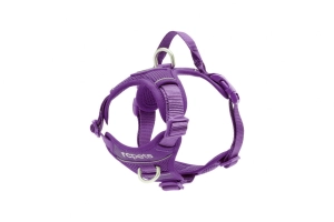 RC Pets Momentum Control Harness for Dogs in Purple