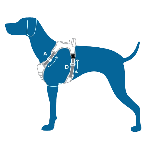 RC Pets Momentum Control Harness for Dogs in Purple