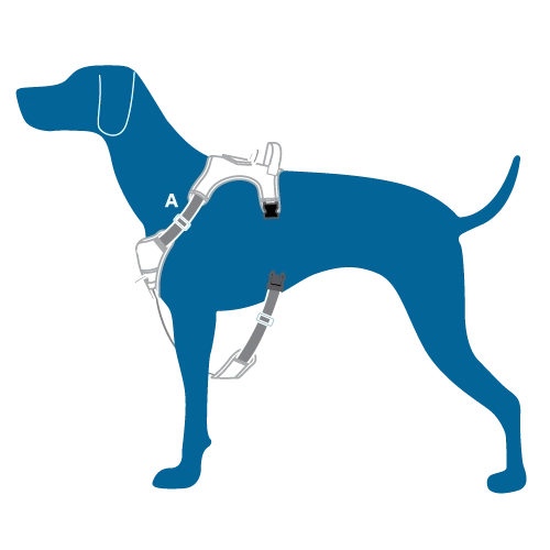 RC Pets Momentum Control Harness for Dogs in Purple