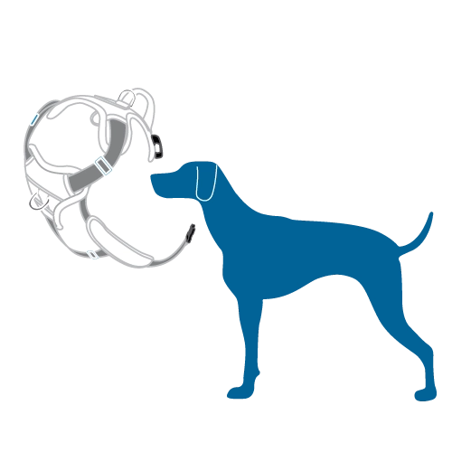RC Pets Momentum Control Harness for Dogs in Sapphire